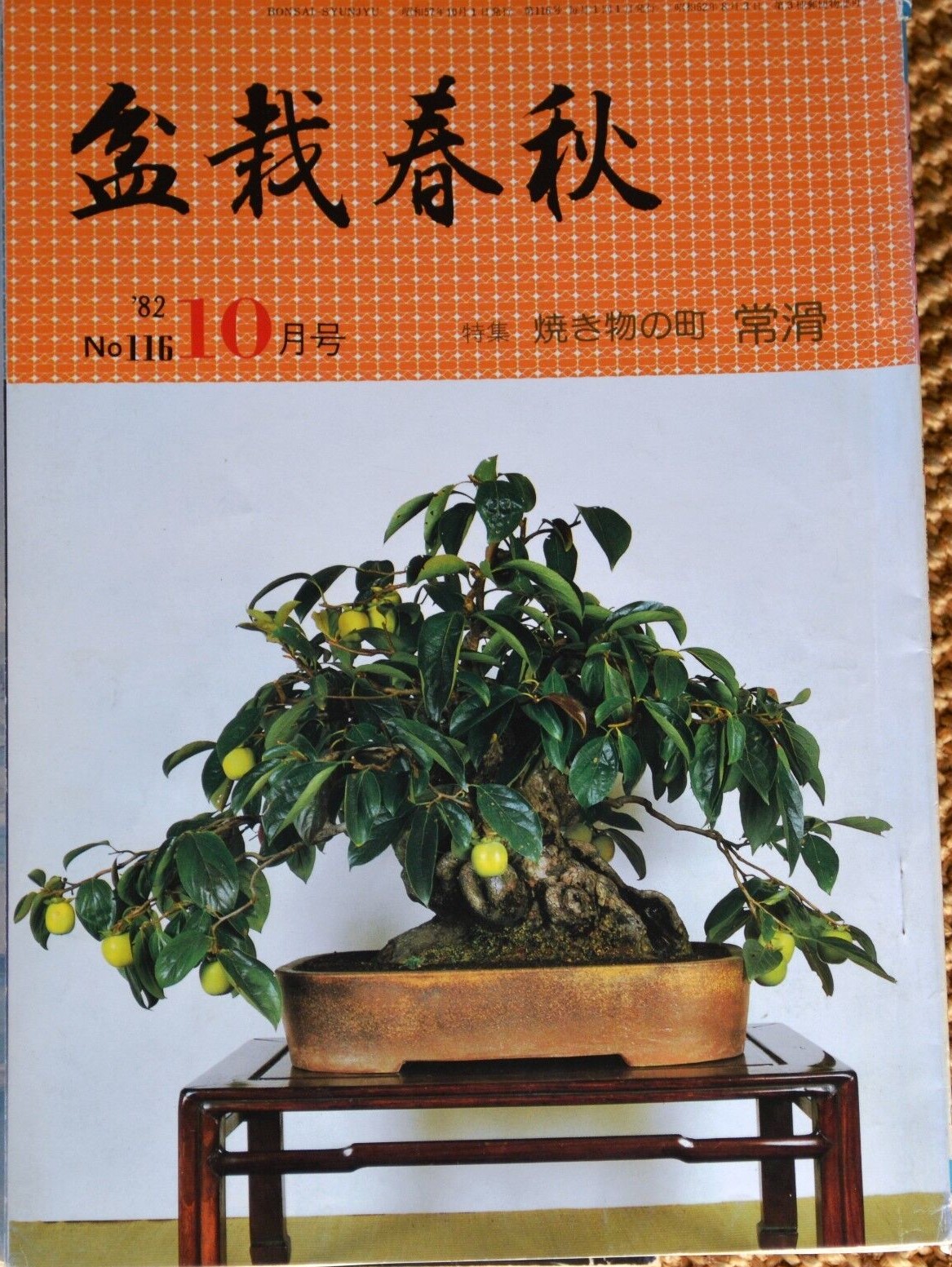Bonsai Shunju, 1982